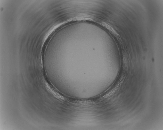 X0000076100934200610152340