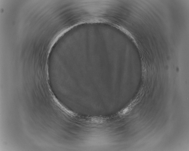 X0000076100935200610152340