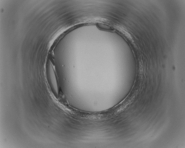 X0000076100936200610152340