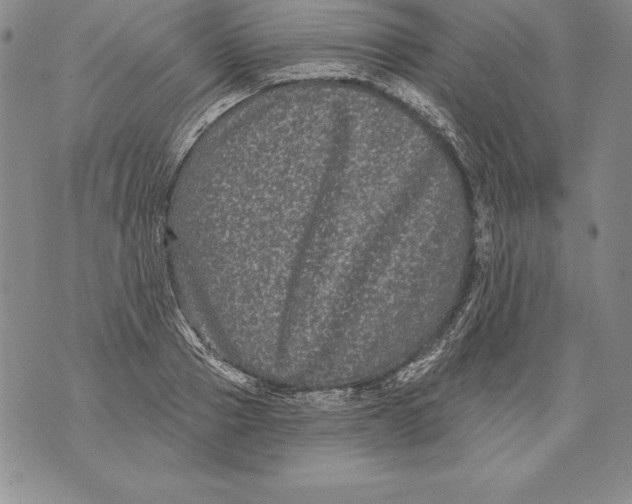 X0000076100937200610152340