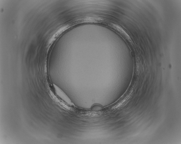 X0000076100938200610152340