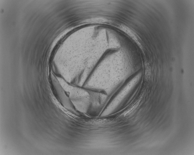 X0000076100939200610152340