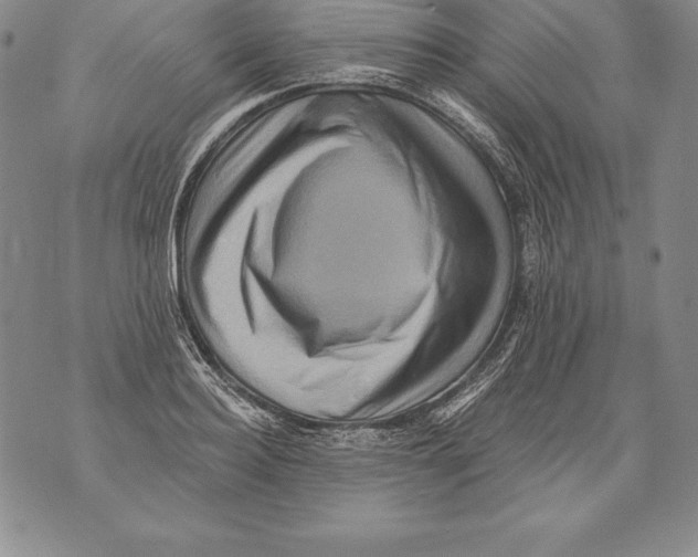 X0000076100940200610152340