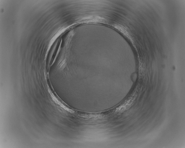 X0000076100941200610152340