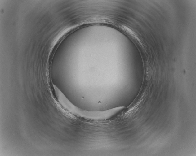 X0000076100942200610152340