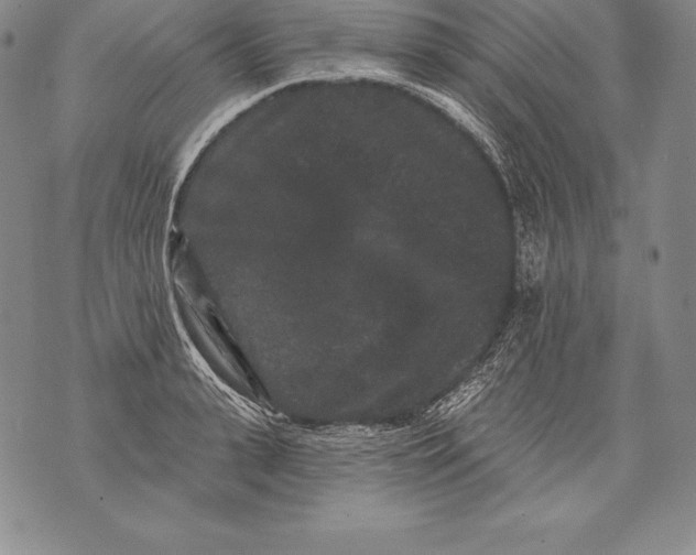 X0000076100943200610152340