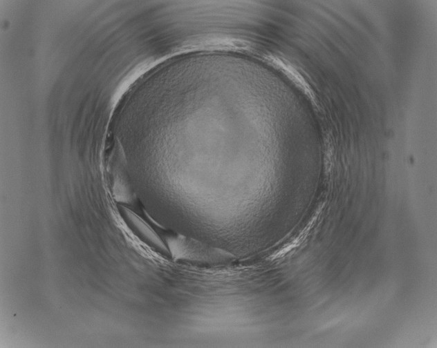 X0000076100944200610152340