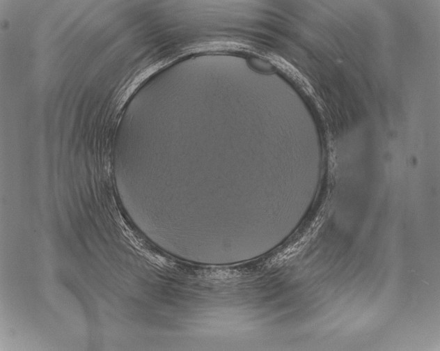 X0000076100945200610152340