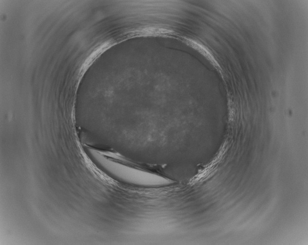 X0000076100946200610152340