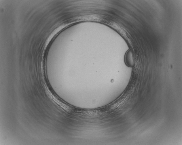 X0000076100947200610152340