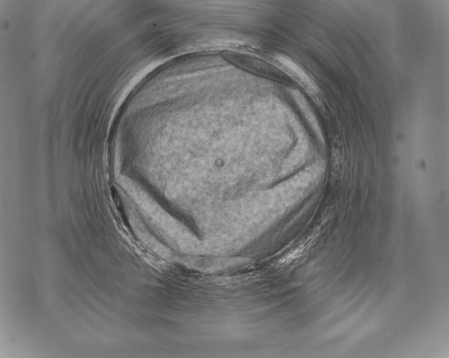 X0000076100948200610152340