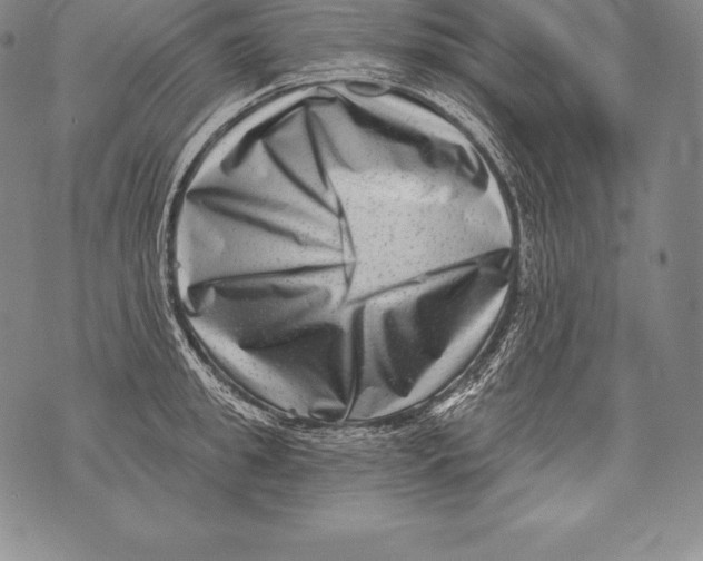 X0000076100949200610152340