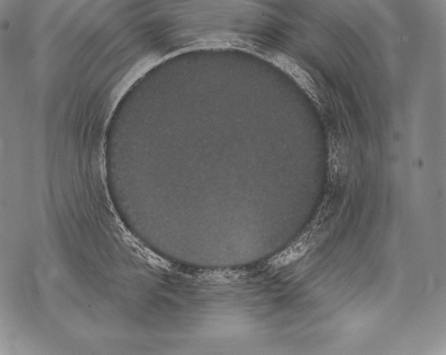 X0000076100950200610152340