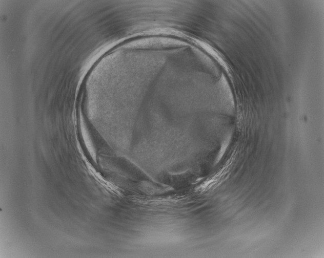 X0000076100951200610152340