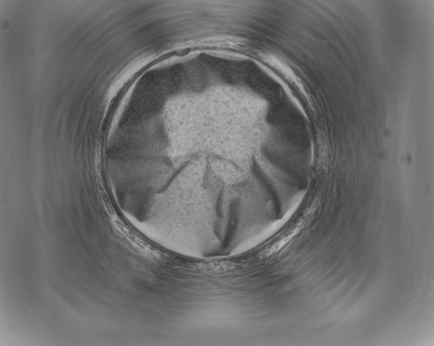 X0000076100952200610152340