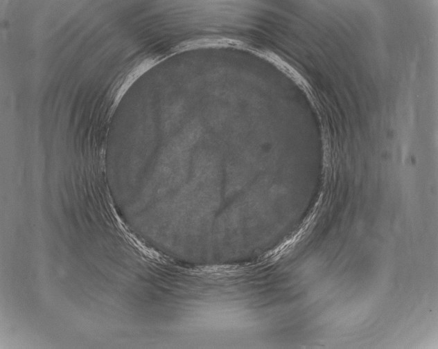 X0000076100953200610152340