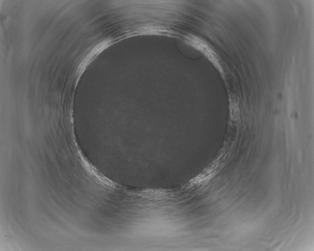 X0000076100954200610152340