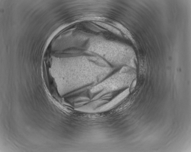 X0000076100955200610152340