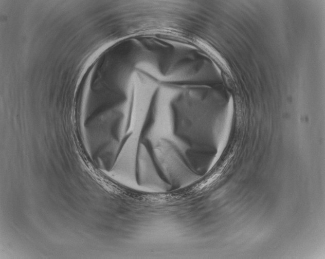 X0000076100956200610152340