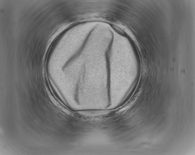 X0000076100957200610152340