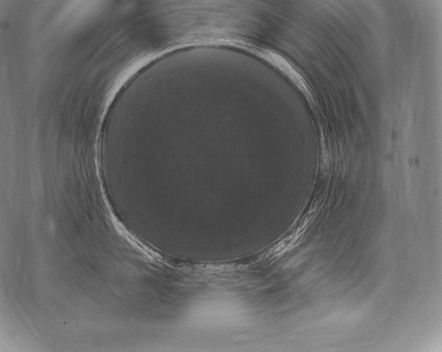 X0000076100958200610152340