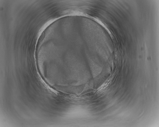 X0000076100959200610152340