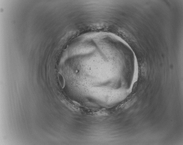 X0000076100961200610152339