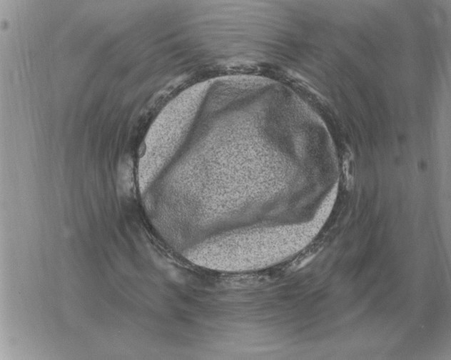 X0000076100963200610152339