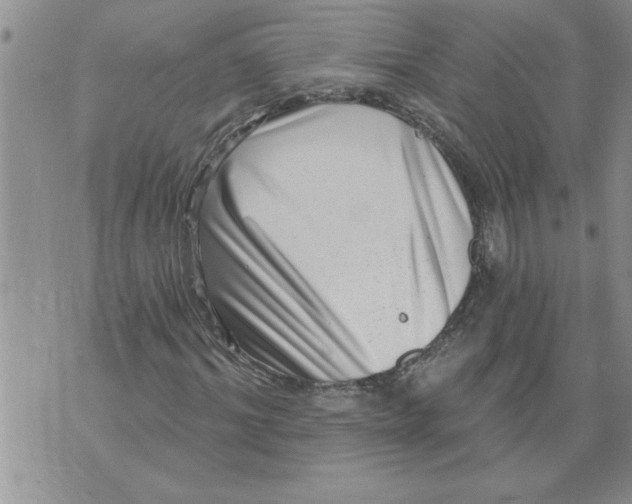 X0000076100964200610152339