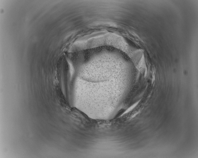 X0000076100965200610152339