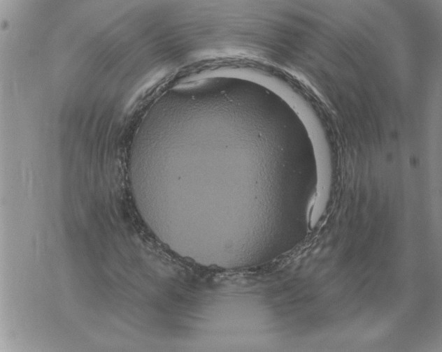 X0000076100967200610152339