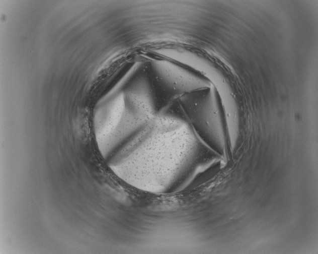 X0000076100968200610152339