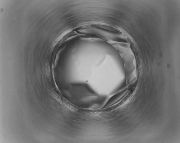 X0000076100969200610152339