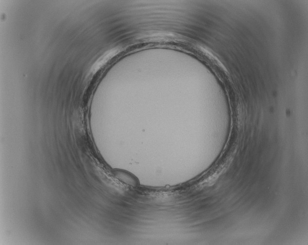 X0000076100970200610152339