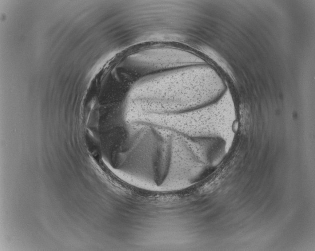 X0000076100972200610152339