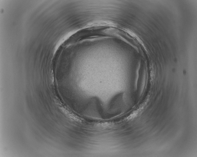 X0000076100973200610152339