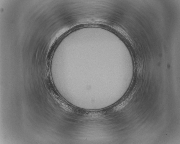 X0000076100974200610152339