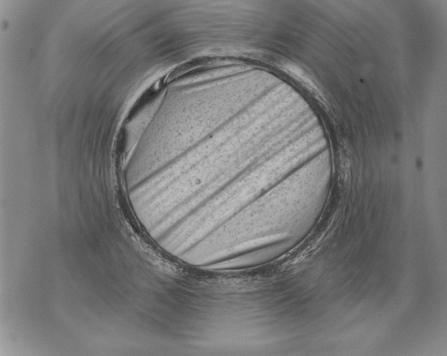 X0000076100976200610152339