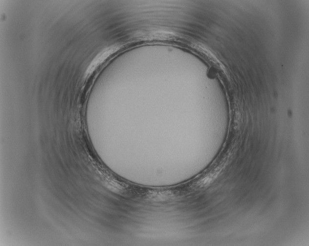 X0000076100978200610152339