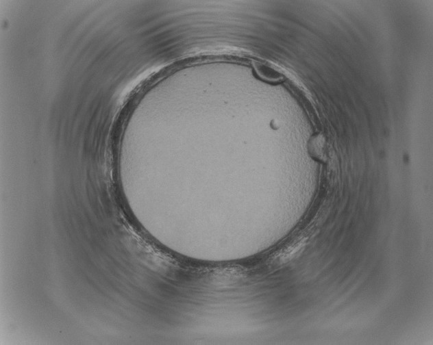 X0000076100979200610152339