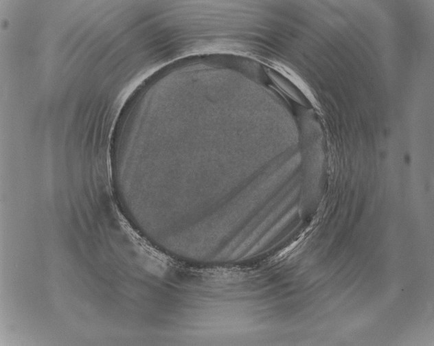 X0000076100980200610152339