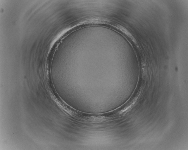 X0000076100981200610152339