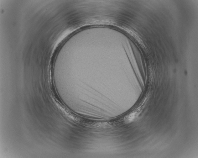 X0000076100982200610152339