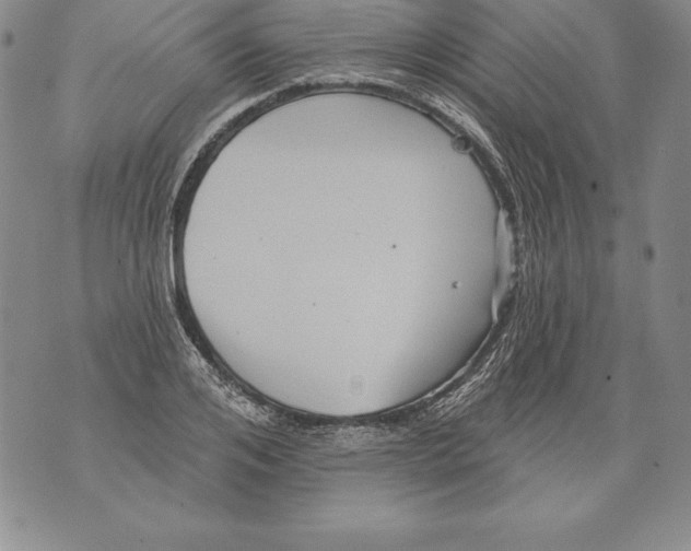 X0000076100984200610152339