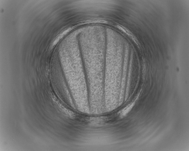 X0000076100985200610152339