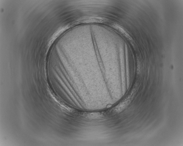 X0000076100986200610152339