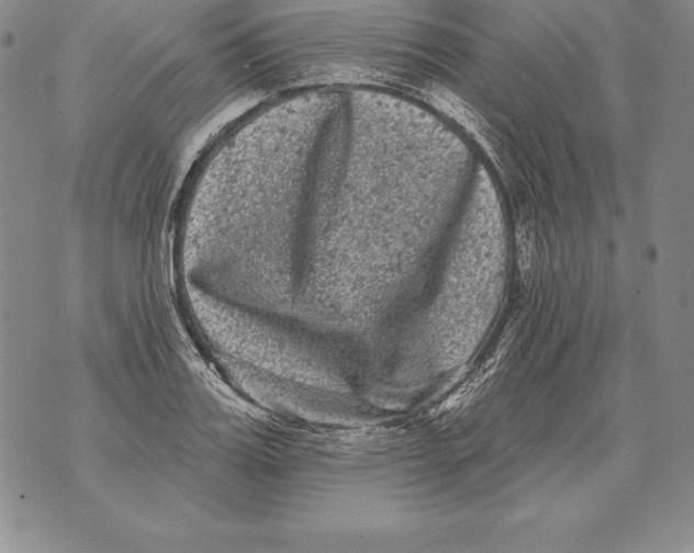 X0000076100987200610152339