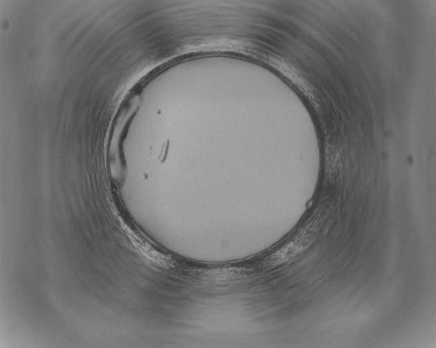 X0000076100988200610152339