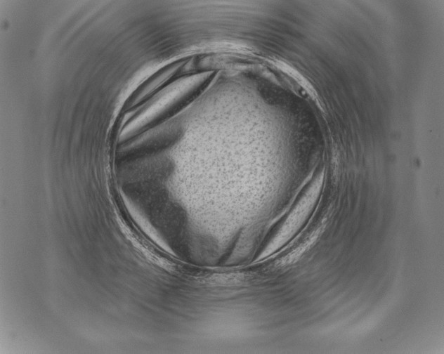 X0000076100989200610152339