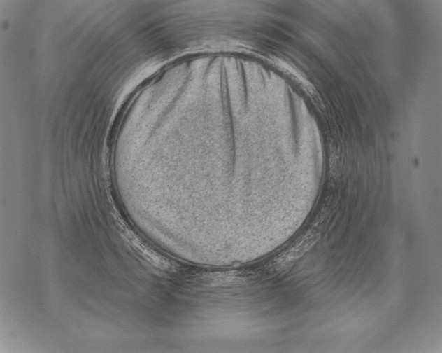 X0000076100990200610152339